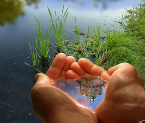THỜI HẠN LẬP ĐĂNG KÝ MÔI TRƯỜNG NĂM 2025 7 quy chuan ky thuat quoc gia ve thong so chat luong nuoc duoi dat