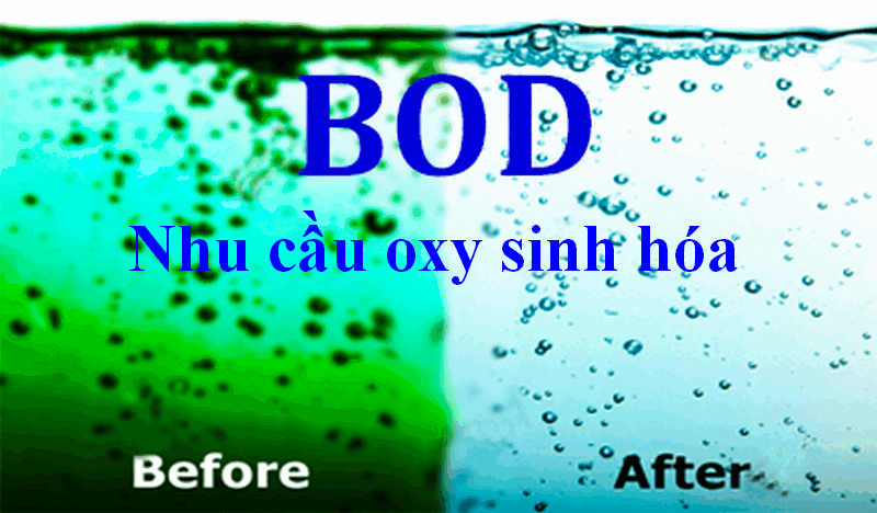 nhu cầu oxy sinh hóa (BOD)