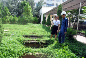 Lấy mẫu khí thải theo thông tư 10 9 thong tin ve thanh phan thong so o nhiem chinh trong nuoc thai y te