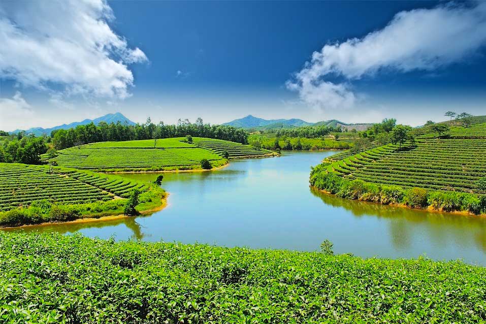 phân tích đất nông nghiệp