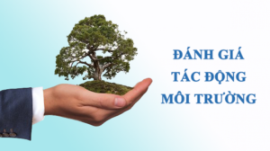 danh gia tac dong moi truong tu a z nhung dieu can biet