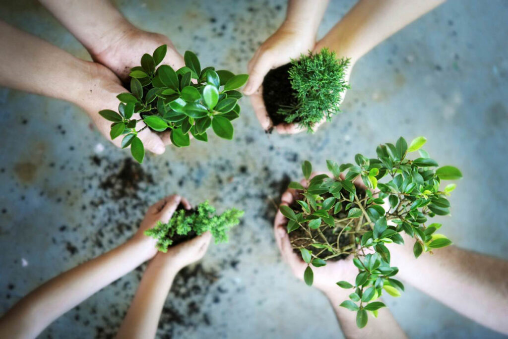 Cac muc phat khi khong lap bao cao quan trac moi truong dinh ky