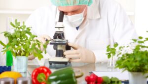 Cách xử lý nước thải ngành nhà hàng mà bạn nên biết 6 quy trinh kiem nghiem thuc pham theo quy dinh