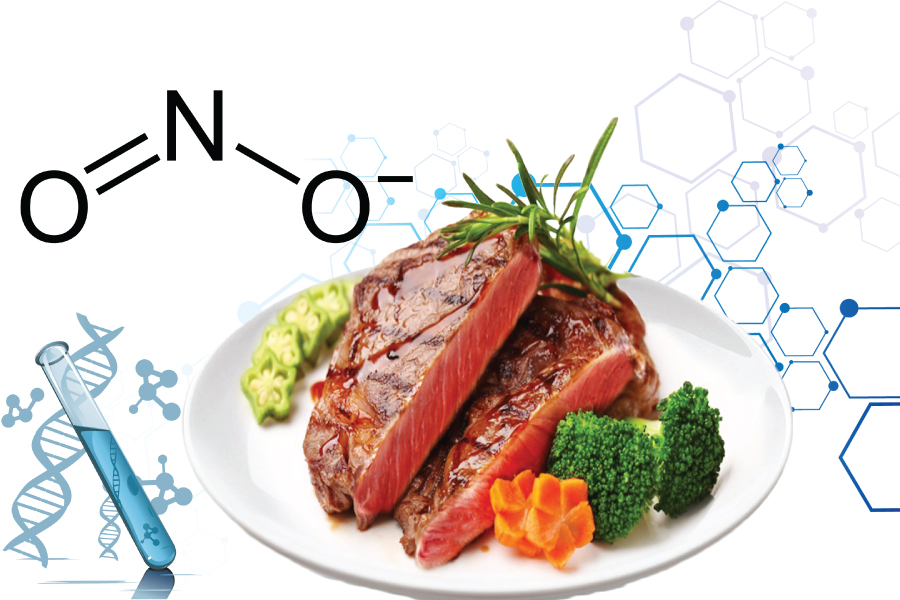 XÁC ĐỊNH HÀM LƯỢNG NITRITE TRONG THỊT 1 XÁC ĐỊNH HÀM LƯỢNG NITRITE TRONG THỊT