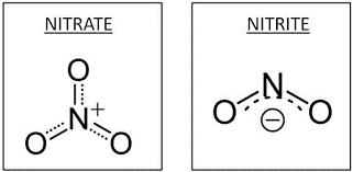 XÁC ĐỊNH HÀM LƯỢNG NITRITE TRONG THỊT 2 Công thức hóa học của Nitrite